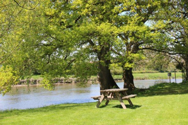 Camping Des 2 Rives- Chambres Etang-sur-Arroux Exteriér fotografie